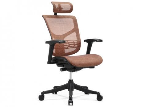 人體(tǐ)工(gōng)學(xué)椅-GT06